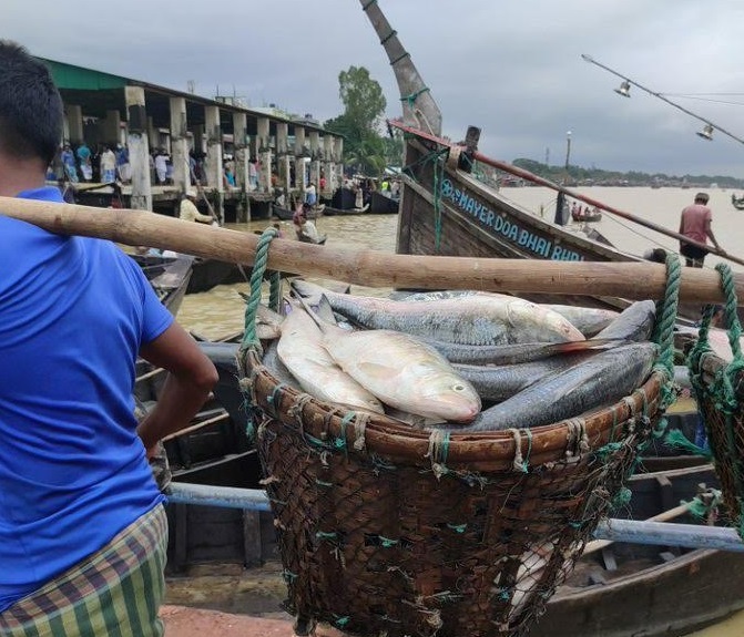 Sysonex Service Pillars